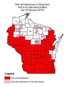 Distribution of oak wilt in Wisconsin showing sparse distribution in most northern counties.