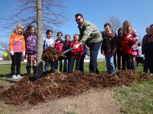 sheboygan_17_principal-mulching-2