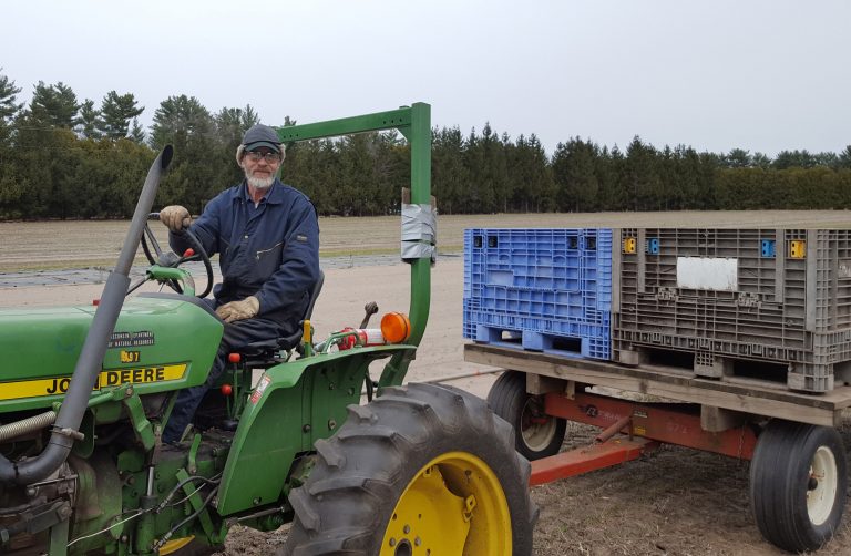 DNR shipping trees; last chance to purchase seedlings