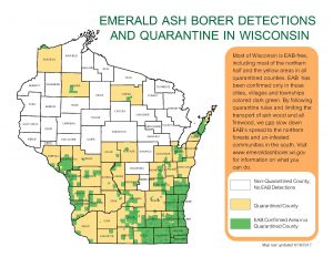 EAB quarantine map. Counties shaded in tan are quarantined for EAB, and include much of the southern half of Wisconsin, as well as other counties. Areas shaded in green are the townships and municipalities where EAB has actually been identified, and shows that not all counties that are quarantined are fully infested.