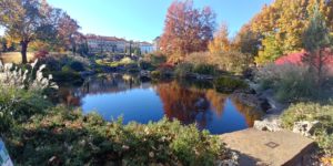 Philbrook Museum