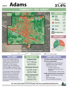 Canopy summary sheet 