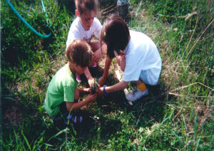 kids planting a tree