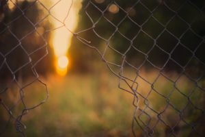 Broken fence with field and trees