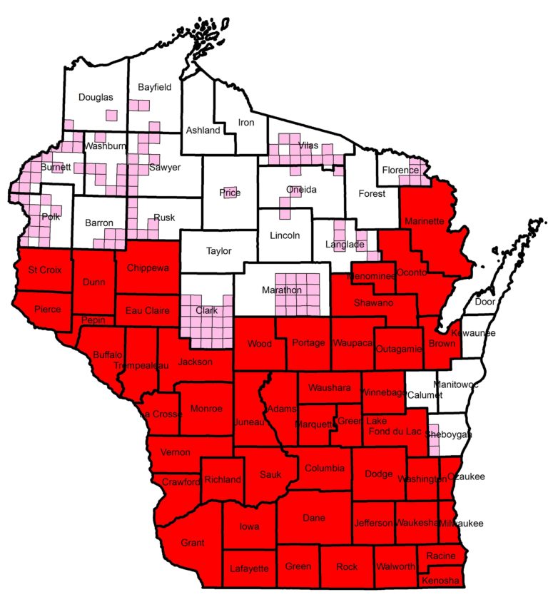 New northern oak wilt detections