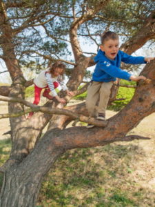 young boy and girl climbing in a pine tree on a sunny day