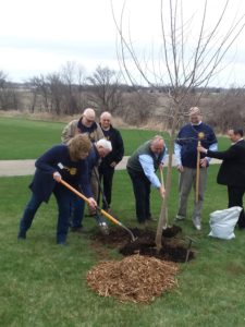 memorial tree planting