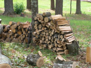 Firewood stacked at least 30 feet from the home
