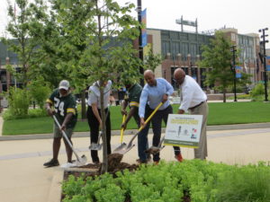 Lieutenant Governor Barnes and DNR Secretary Cole plant a tree with Packers CEO Mark Murphy and former players Johnnie Gray and Gerry Ellis.