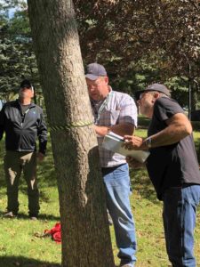 Collecting tree measurements at workshop