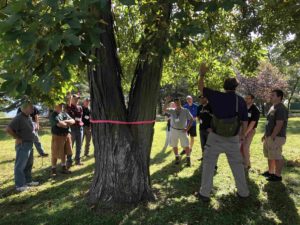 Discussing tree characteristics at workshop