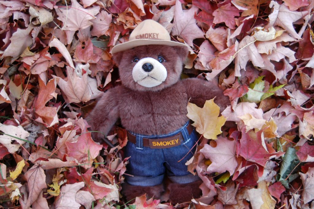 Smokey in a pile of leaves asking you to compost instead of burning your leaves.