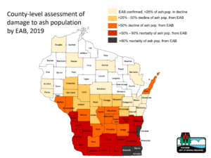 County-level map of damage from EAB to ash tree populations in 2019