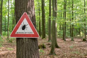 Forested setting with tree in foreground and sign attached to tree that says beware of ticks.