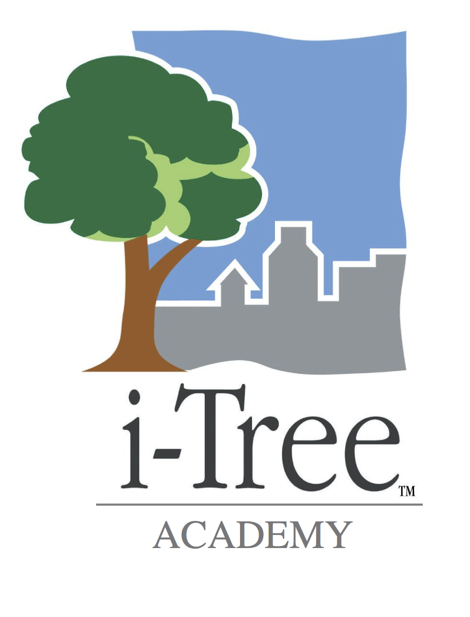 iTree Academy online training begins January