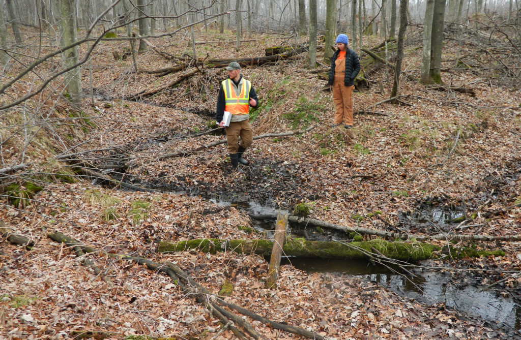 Meet a Forest Hydrologist