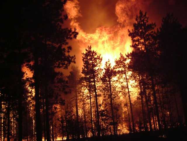 Crown Fire during the Cottonville Fire