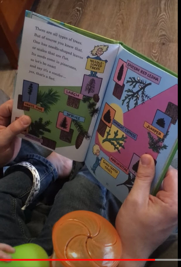 Arbor Day 2020 Celebrating trees in a time of social distancing