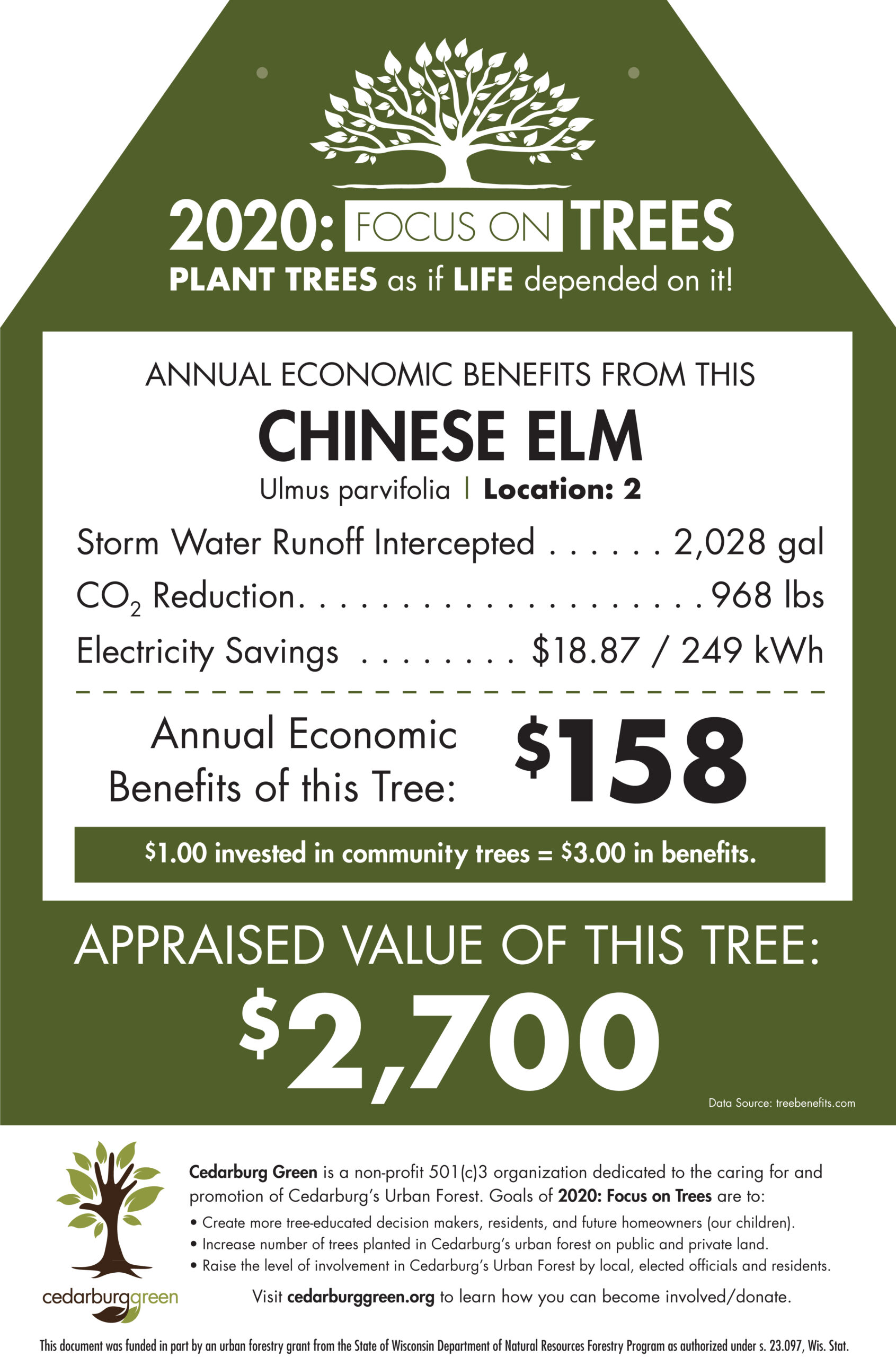 Tree Tags Tout Value