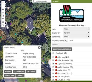 Tree Inventory Accounts Available