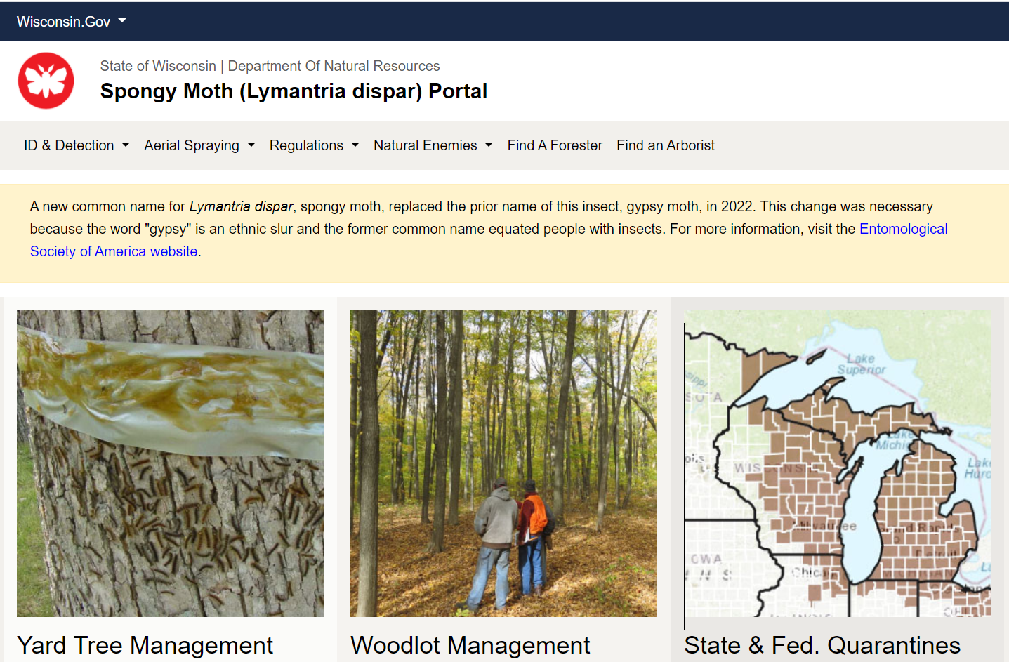 A screenshot of the new spongy moth portal home page.