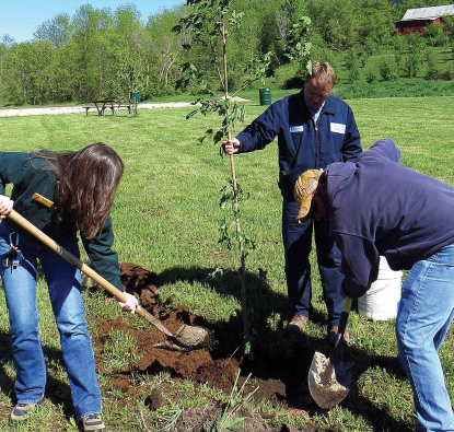 New DNR Publication: Results of the 2020 Diverse Urban Species Survey