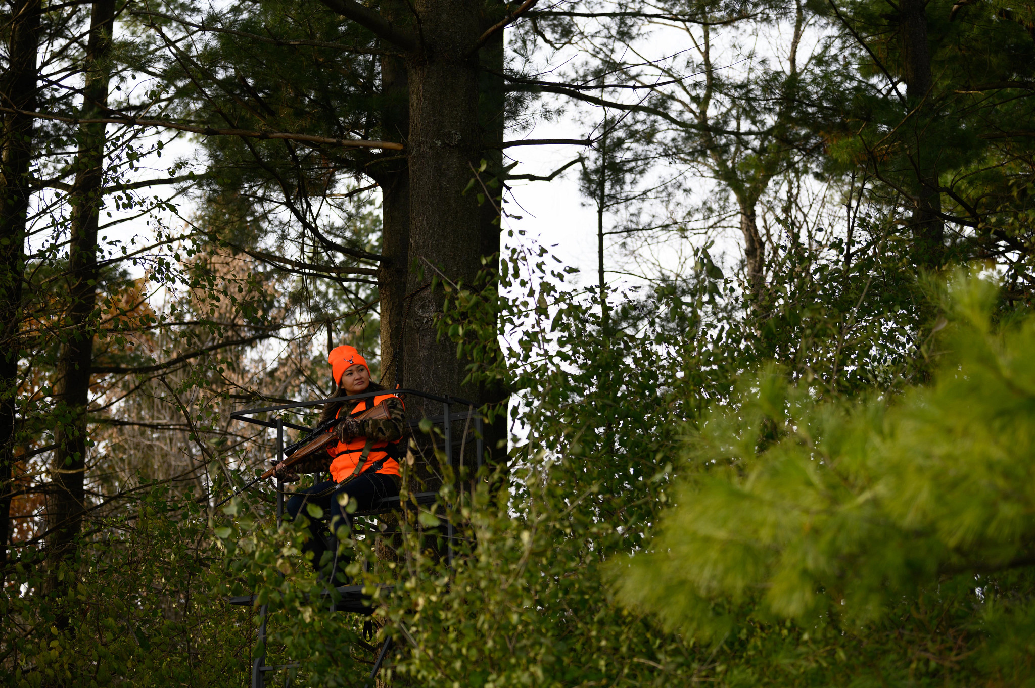Hunter in trees