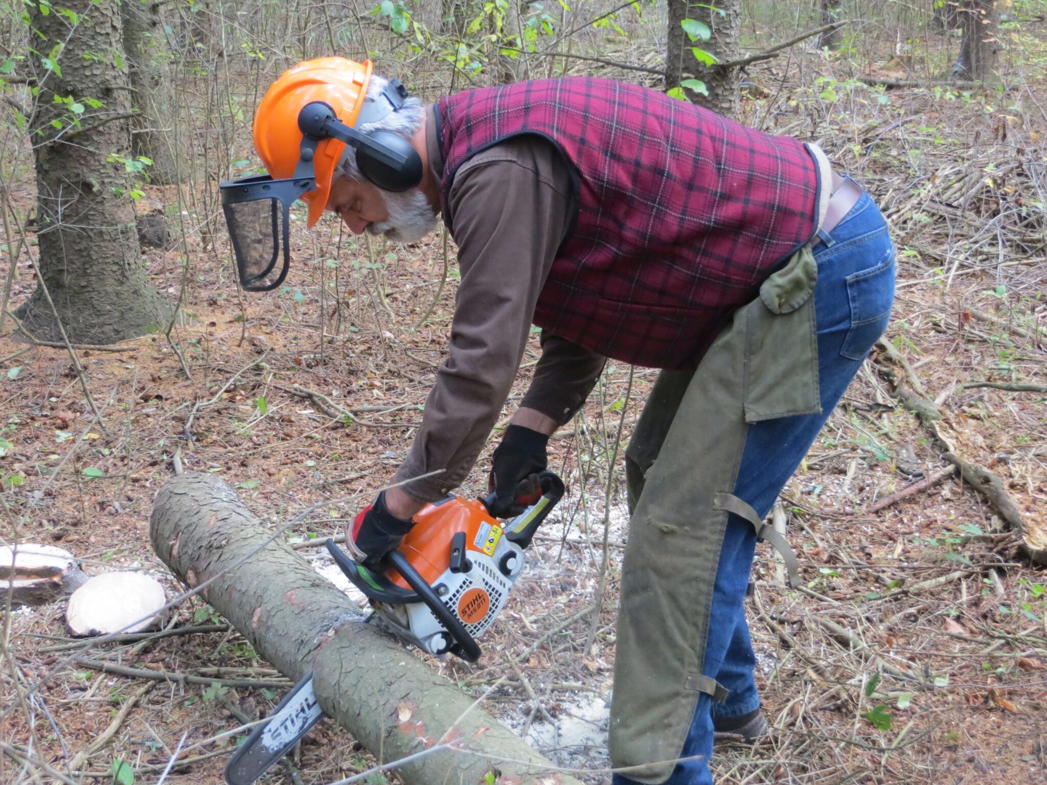 Chainsaw Training Opportunities