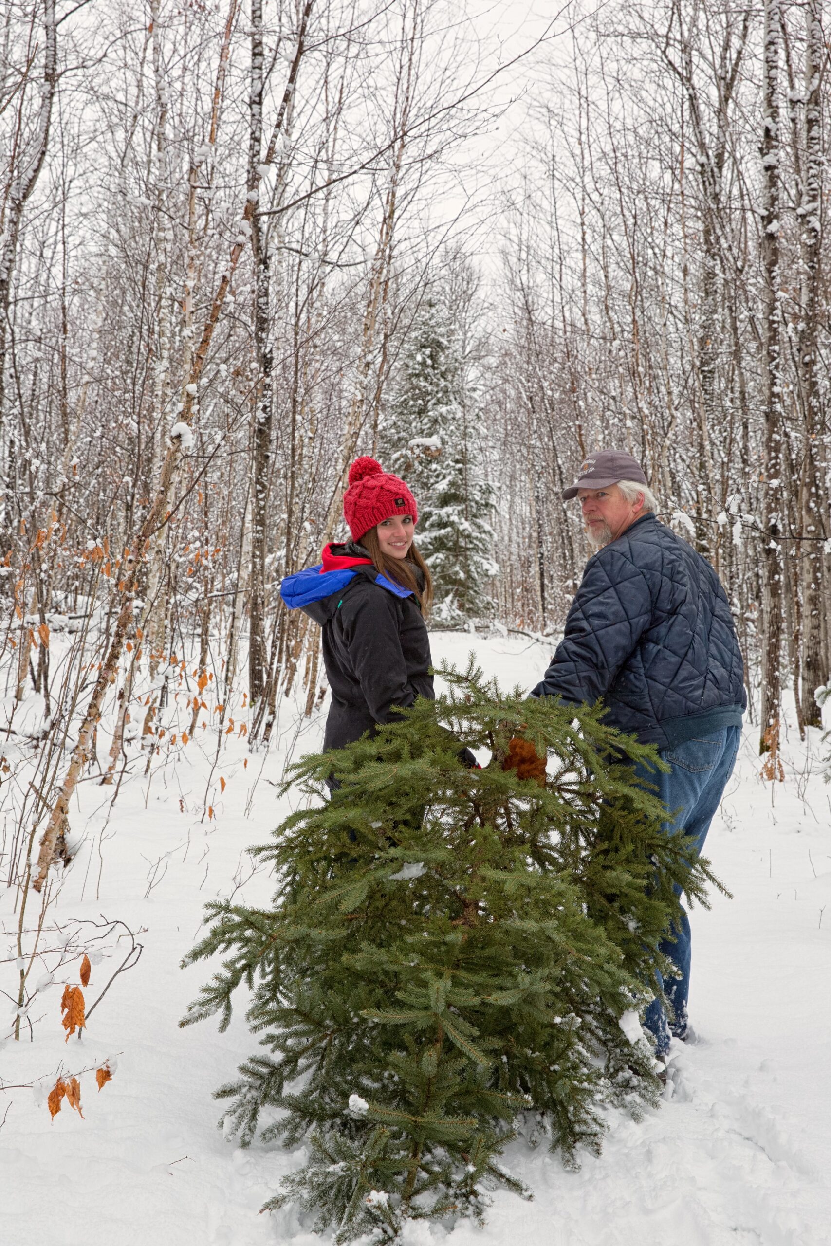 What Do You Do With Your Old Christmas Trees?