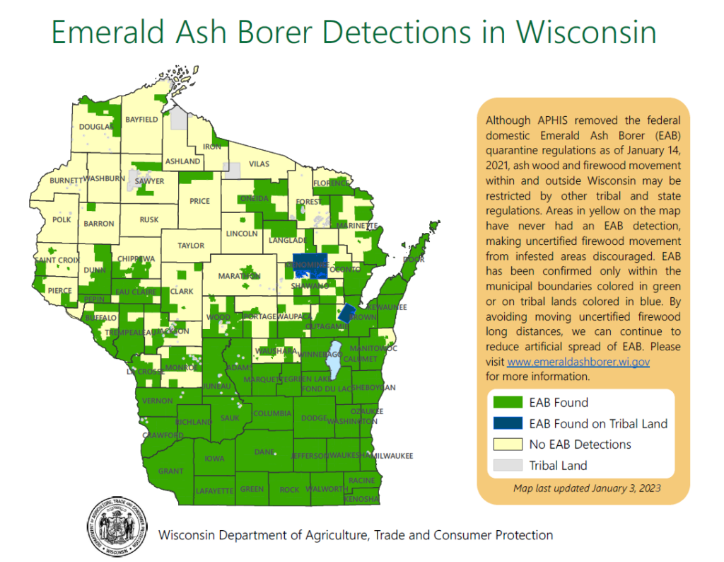 A Wisconsin county map indicates where EAB has been found as of January 2023. 