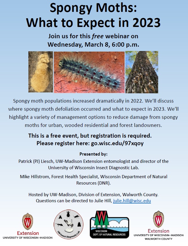 A flyer for an upcoming webinar about spongy moth management that will take place virtually at 6pm on March 8, 2023.