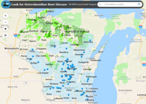An interactive web map to identify areas where stump application of pesticides is recommended. 