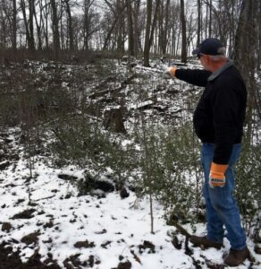 Jim Schiller points out a natural regeneration area for walnut that followed a partial clear-cut from 2018. Schiller estimates that 3,000 trees per acre have been regenerating in the small clearing