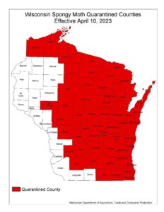 A map of Wisconsin counties facing quarantine due to spongy moth.