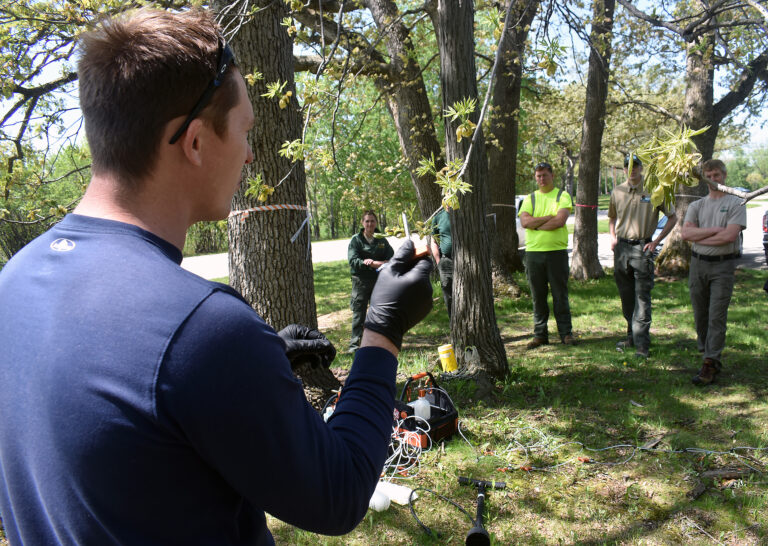 DNR Staff Gets Tree Injection Training