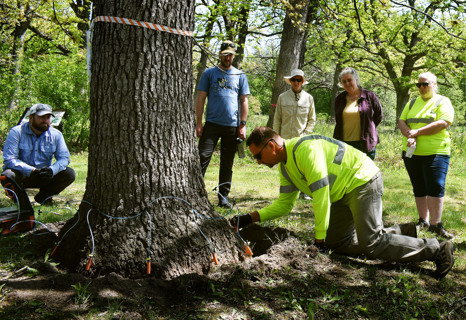 DNR Staff Gets Tree Injection Training