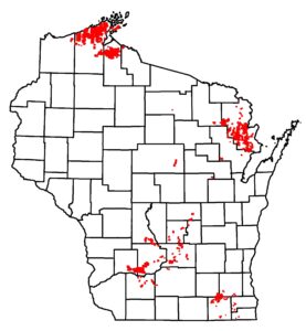 Map showing 2023 spongy moth defoliation areas.