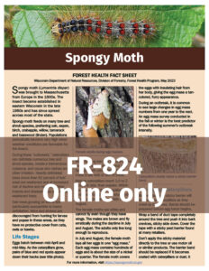 A preview of the new Wisconsin Department of Natural Resources Forest Health fact sheet on spongy moth.