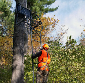 Photo of hunter climbing into tree-mounted deer stand.