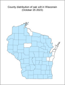 Map showing Wisconsin counties in which oak wilt has been detected.