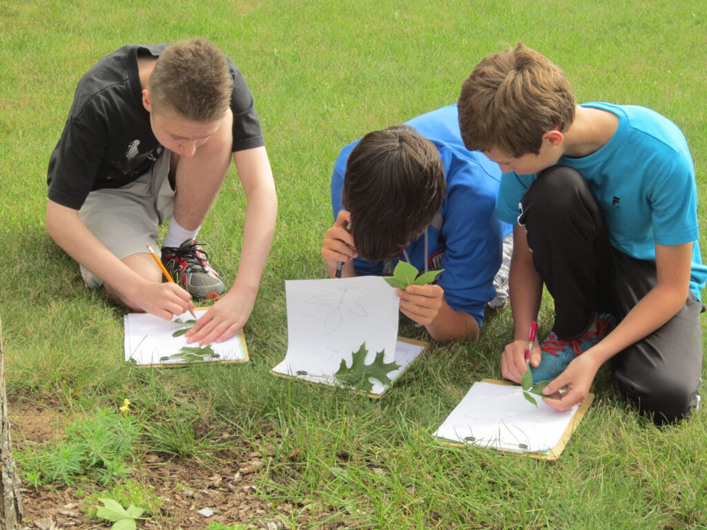 Kids identifying trees