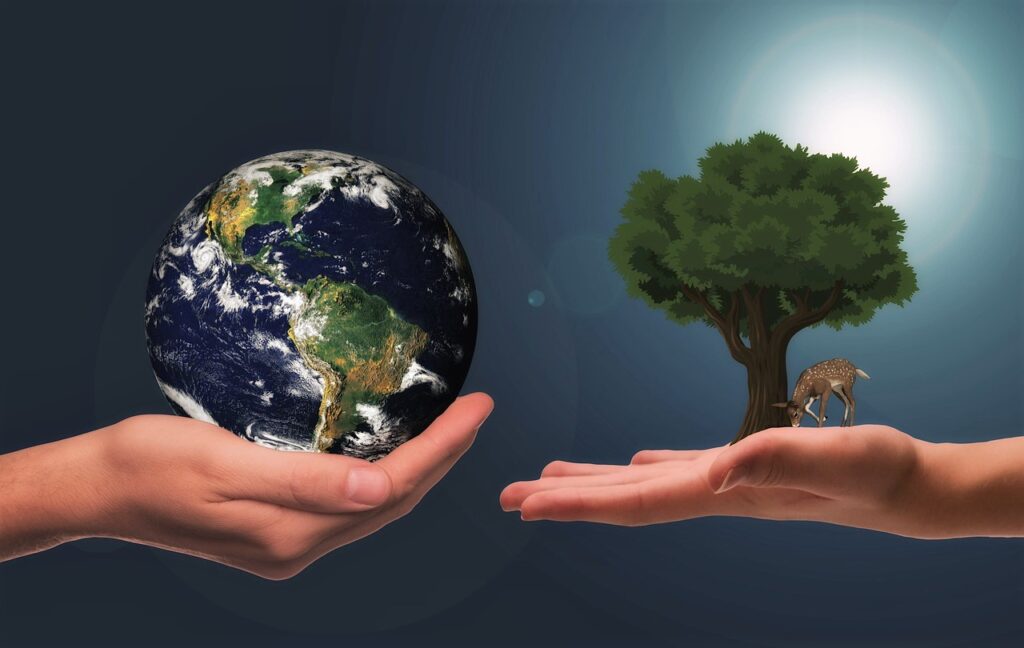 hand holding earth and tree
