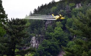 Photo of an airplane spraying insecticide on trees at Devil's Lake State Park in Sauk County.