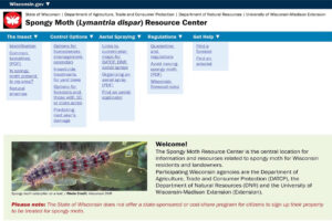 A screenshot of the mock-up of the new Spongy Moth Resource Center