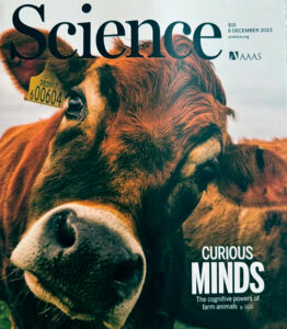 The cover of the Dec. 8, 2023, issue of Science magazine.