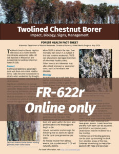 Graphic showing the preview of a new DNR fact sheet on twolined chestnut borer.