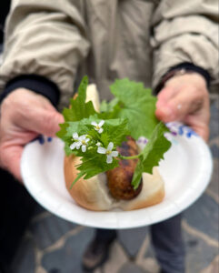 Photo showing a garlic mustard-topped bratwurst being served after a recent garlic mustard pull event near Copper Falls State Park.