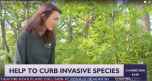 A frame from a WISC-TV feature package showing Mackenzie Manicki of the Wisconsin Department of Natural Resources discussing the fight against invasive species.