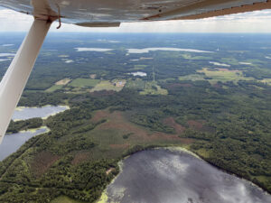 Aerial photo of larch casebearer defoliation of tamarack in Burnett County.