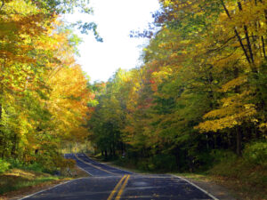 Photo of a roadway in northern Ozaukee County surrounded by trees undergoing fall color changes.